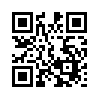 КулЛиб QR: Консул (fb2)