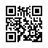 КулЛиб QR: Аншлаг в Кремле. Свободных президентских мест нет (fb2)