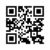 КулЛиб QR: Анвэрская чайка (fb2)