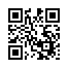 КулЛиб QR: Охота на президента (fb2)