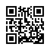 КулЛиб QR: Долг Ранмарна (fb2)