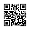 КулЛиб QR: Генерал-марш (часть 11) (fb2)