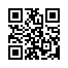 КулЛиб QR: Уровень Фи (fb2)