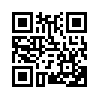 КулЛиб QR: Двое на одном велосипеде (fb2)