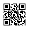 КулЛиб QR: Отражение в неправильном зеркале (fb2)
