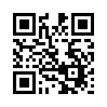 КулЛиб QR: Витязь в тигровой шкуре (fb2)