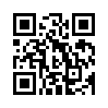 КулЛиб QR: Семнадцать каменных ангелов (fb2)