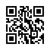 КулЛиб QR: Словно зеркало (СИ) (fb2)
