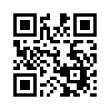 КулЛиб QR: Роковое совпадение (fb2)