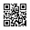 КулЛиб QR: Аракчеевский подкидыш (fb2)