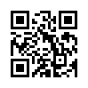 КулЛиб QR: Принц быстрого реагирования (fb2)