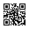 КулЛиб QR: Город в кулаке (fb2)
