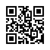 КулЛиб QR: Последние часы в Париже (fb2)