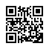 КулЛиб QR: Исключительное право Адель Фабер (fb2)