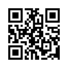 КулЛиб QR: Удивительные приключения Ива и Лёны (fb2)