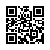КулЛиб QR: Антикопирайт (fb2)