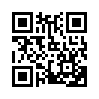 КулЛиб QR: Кожа и кружева (fb2)