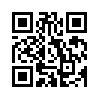 КулЛиб QR: Дело было в Пенькове (fb2)