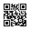 КулЛиб QR: Бесследное исчезновение (fb2)