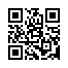 КулЛиб QR: Придурков всюду хватает (fb2)