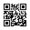 КулЛиб QR: След Первого Енота (fb2)