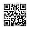 КулЛиб QR: Адепт (fb2)