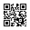 КулЛиб QR: Беглянка (fb2)