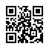 КулЛиб QR: Государственный преступник (fb2)