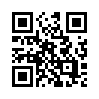 КулЛиб QR: Генеральская дочь (fb2)