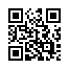 КулЛиб QR: На бородинском поле (fb2)