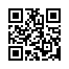 КулЛиб QR: Косвенные линии (fb2)