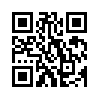 КулЛиб QR: Шиза (fb2)