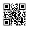 КулЛиб QR: Поджигатели. Но пасаран (fb2)
