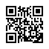 КулЛиб QR: Флешка-2GB (fb2)