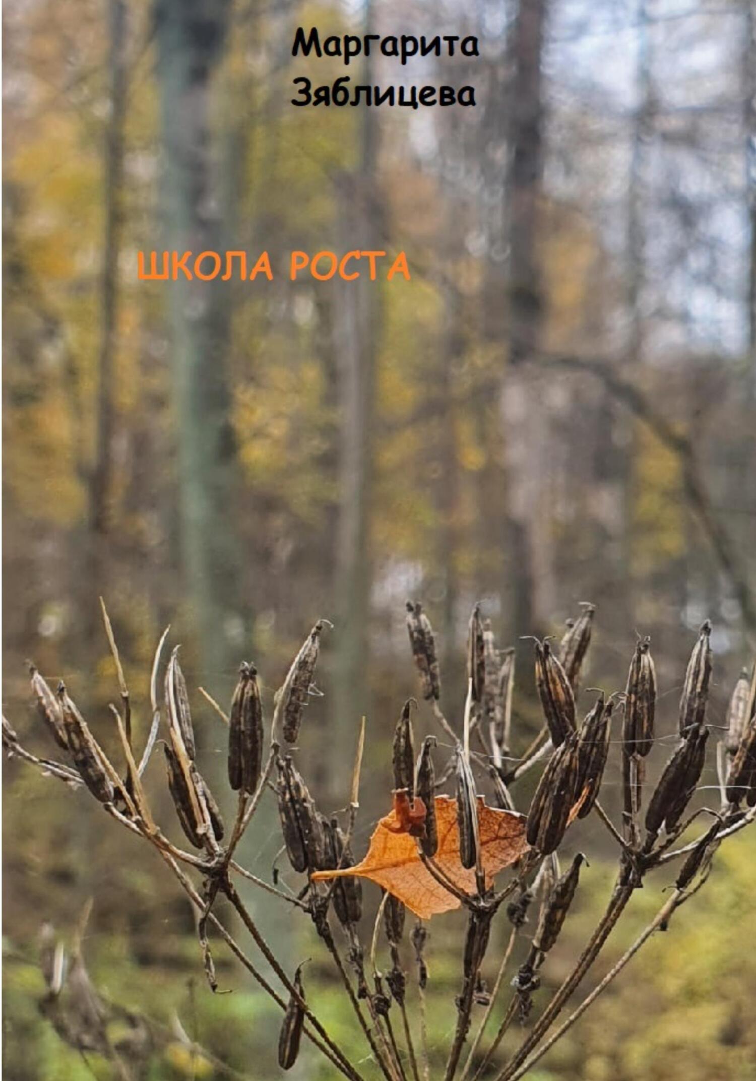 Школа роста (fb2)