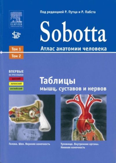 Sobotta. Атлас анатомии человека - таблицы мышц, суставов и нервов (pdf)
