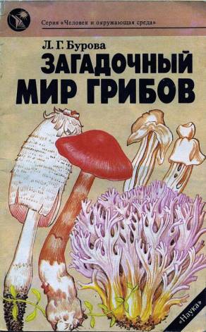 Загадочный мир грибов (fb2)
