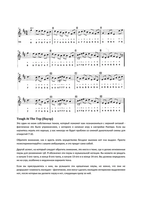 КулЛиб. Брендан  Пауэр - Играйте ирландскую музыку на блюзовой гармошке. Страница № 28