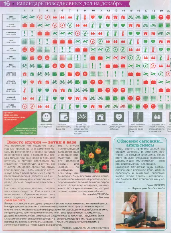 КулЛиб.   журнал Сваты на даче - Сваты на даче 2015 №11(11). Страница № 16