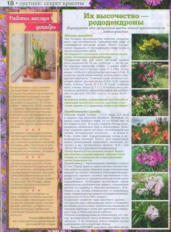 КулЛиб.   журнал Сваты на даче - Сваты на даче 2015 №11(11). Страница № 18