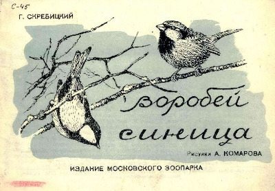 Воробей. Синица (pdf)