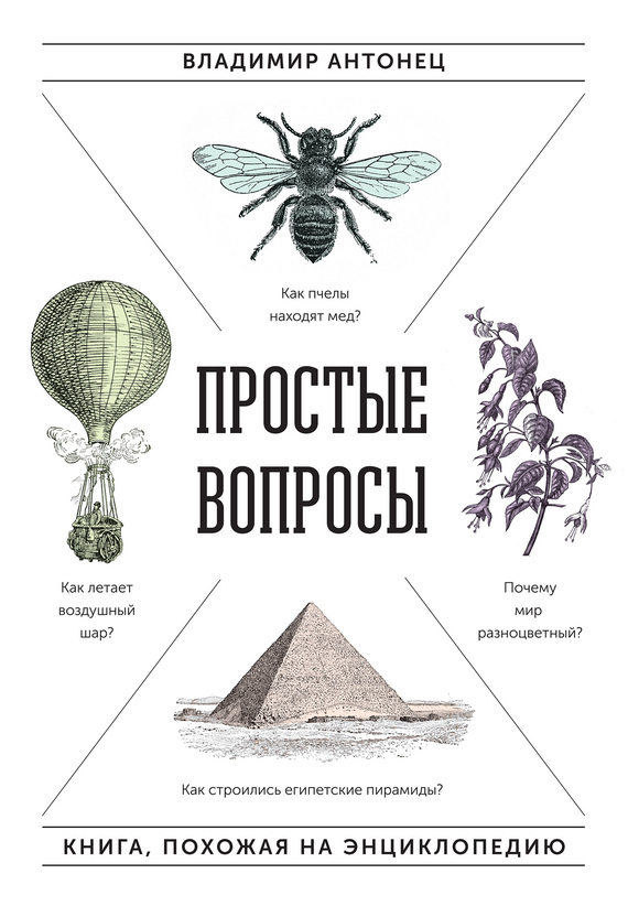 Простые вопросы. Книга, похожая на энциклопедию (fb2)
