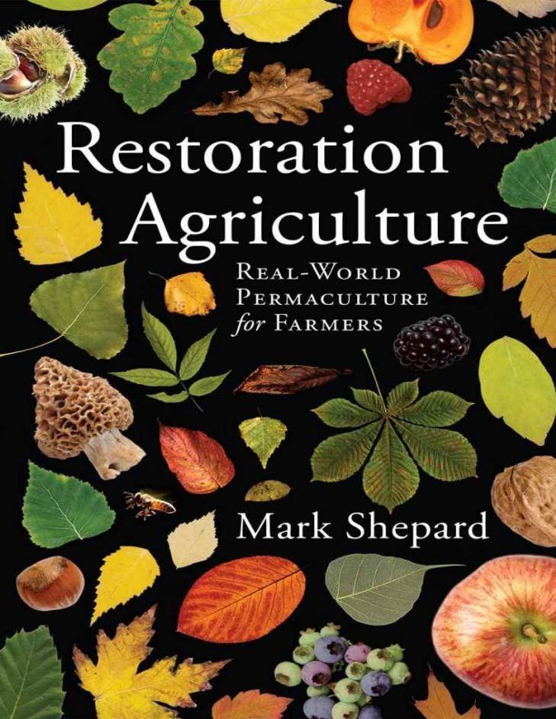 Восстановительное сельское хозяйство. Реальная пермакультура для фермеров (fb2)