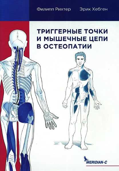 Триггерные точки и мышечные цепи в остеопатии (fb2)