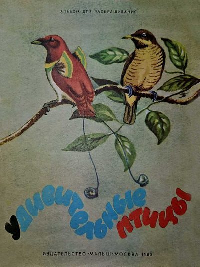 Удивительные птицы (pdf)