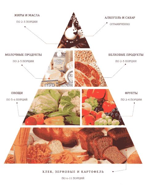 7 групп продуктов. Классификация продуктов питания. Основные группы продуктов питания. Здоровое питание группы продуктов. Основные группы продуктов для здорового питания.