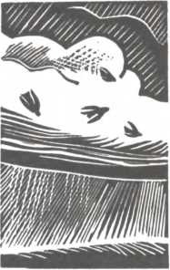 Товарищ Ленин. Композиция. Николай Некрасов. Иллюстрация 19