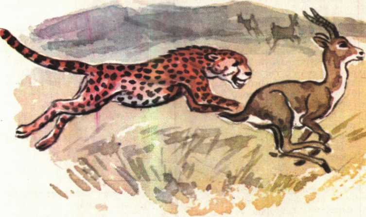 Красота солнечного края. Аннамухамед Клычев. Иллюстрация 139