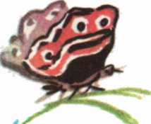 Красота солнечного края. Аннамухамед Клычев. Иллюстрация 76