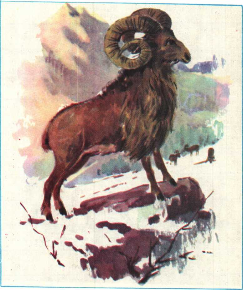 Красота солнечного края. Аннамухамед Клычев. Иллюстрация 113